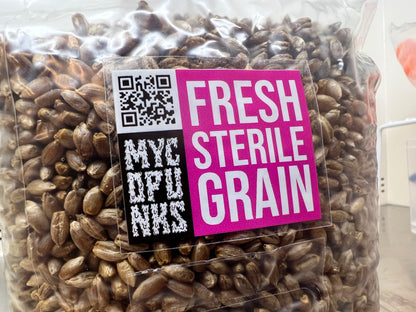 Steriles Bio-ROGGEN-Getreide für die Pilzbrut-Produktion