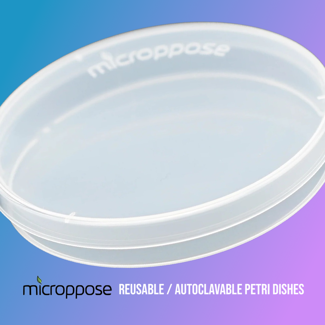 Microppose Autoklavierbare/wiederverwendbare 90 mm * 15 mm Petrischalen
