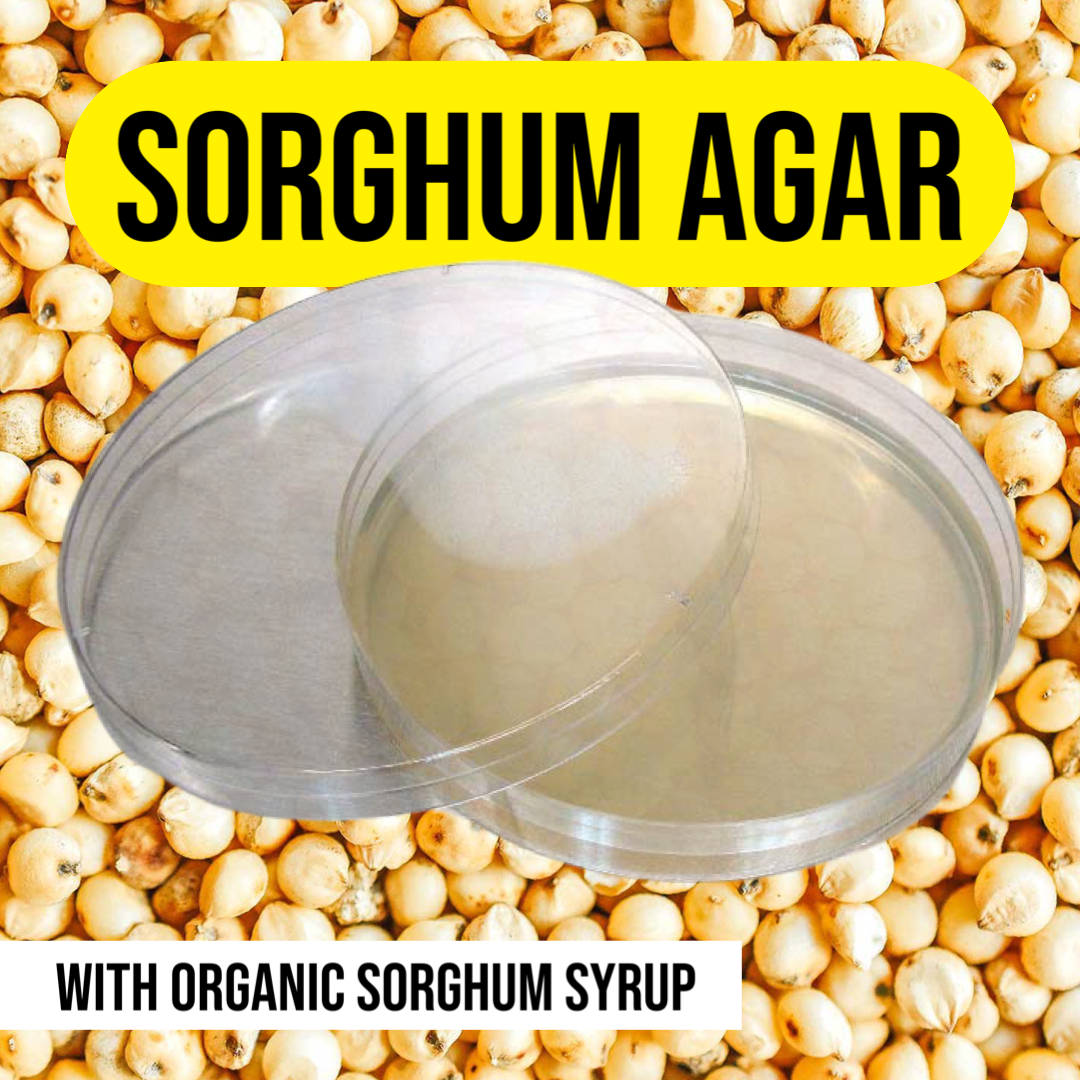 Sorghum-Agar für Pilzkulturen