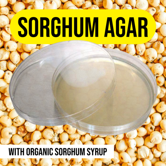 Sorghum-Agar für Pilzkulturen