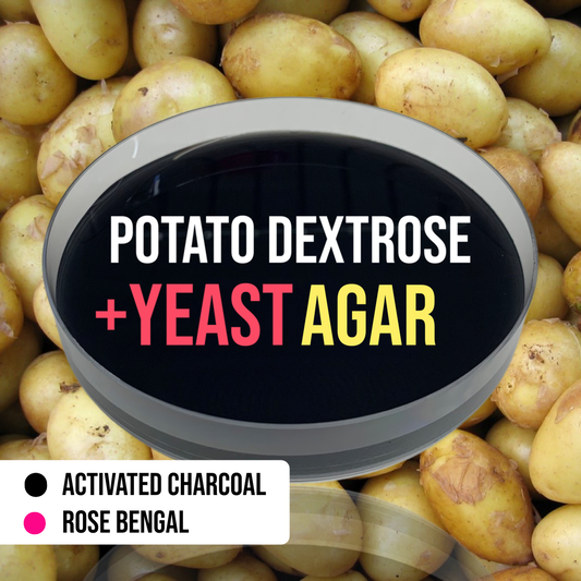 MycoPunks - 20 Potato Dextrose Yeast Agar Custom (PDYA) Petri Dishes for Fungal Cultures -