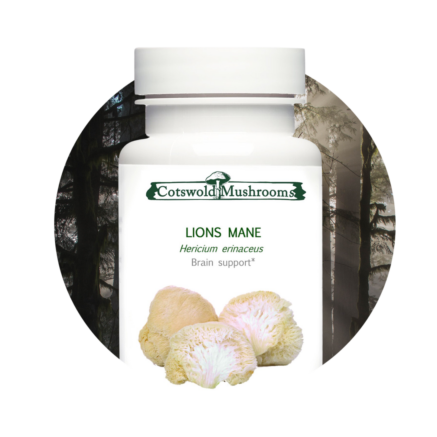 MycoPunks - Lions Mane Supplements by Cotswold Mushrooms - Self Care