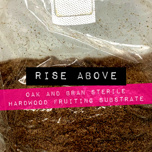 MycoPunks - Rise Above: Oak and bran sterile substrate for hardwood loving mushrooms - Sterile Substrate