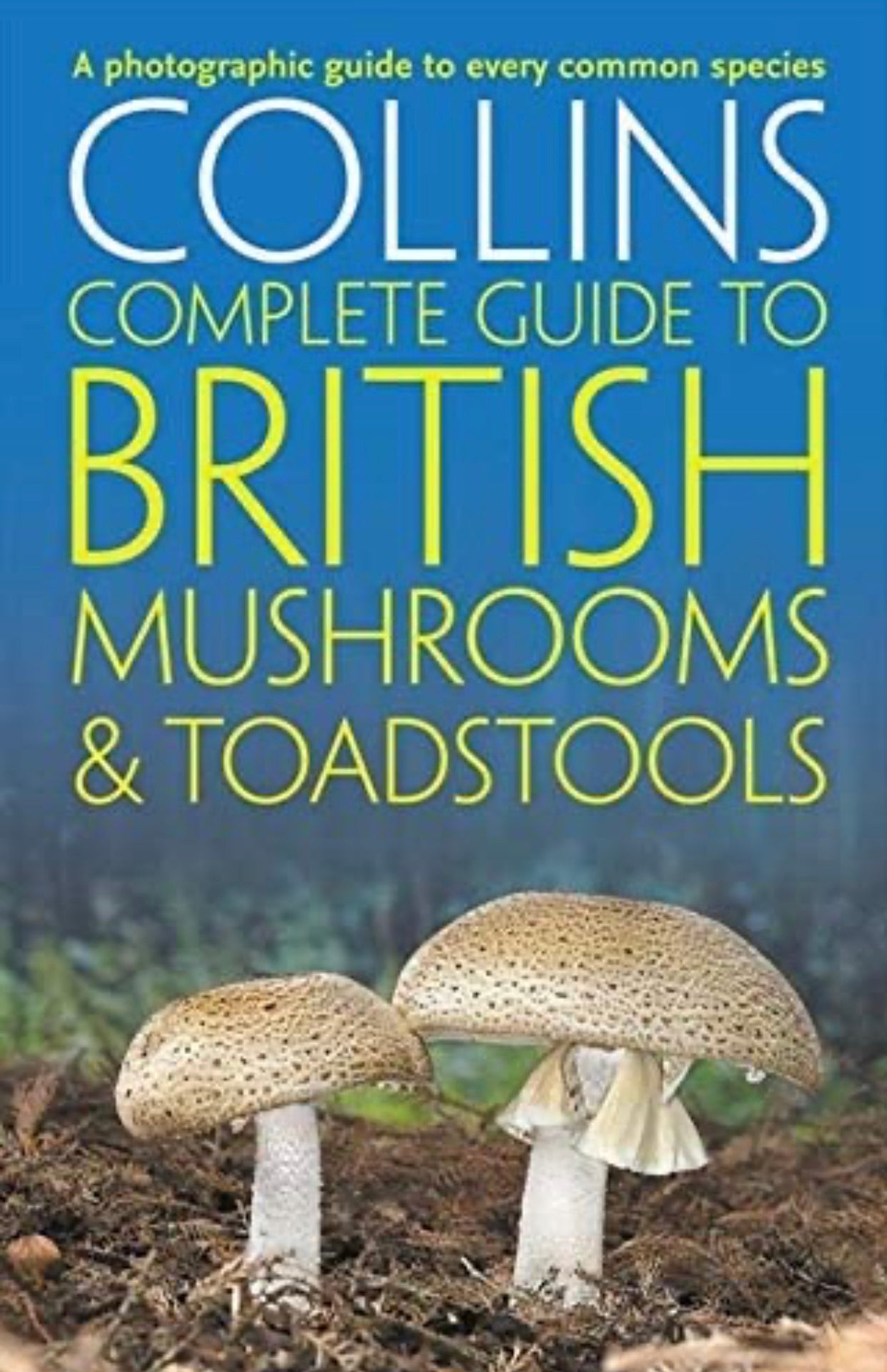 MycoPunks - Collins Complete British Mushrooms and Toadstools: The essential photograph guide to Britain’s fungi - Book