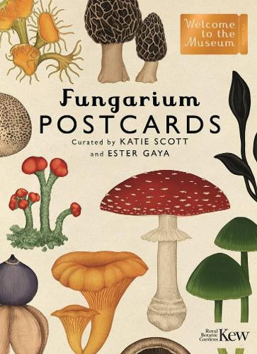 Fungarium-Postkarten
