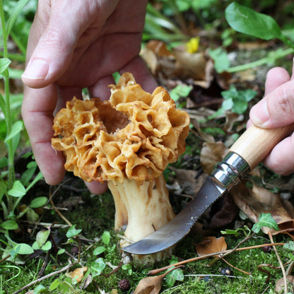 MycoPunks - Opinel No8 Mushroom Foraging Knife - Foraging Knife